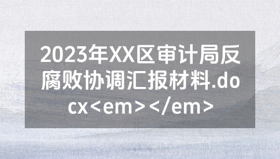 2023年XX区审计局反腐败协调汇报材料.docx<em></em>