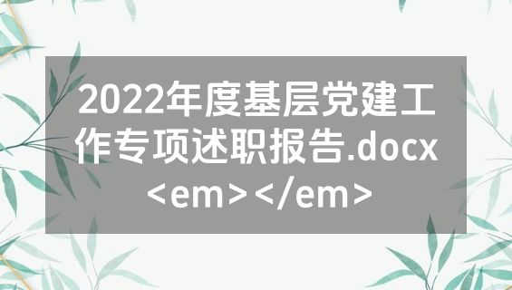 2022年度基层党建工作专项述职报告.docx<em></em>