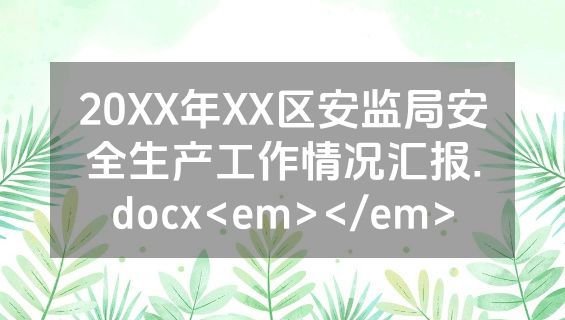 20XX年XX区安监局安全生产工作情况汇报.docx<em></em>