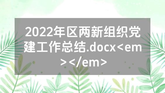 2022年区两新组织党建工作总结.docx<em></em>