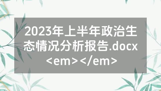 2023年上半年政治生态情况分析报告.docx<em></em>
