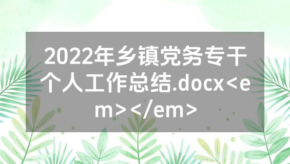 2022年乡镇党务专干个人工作总结.docx<em></em>