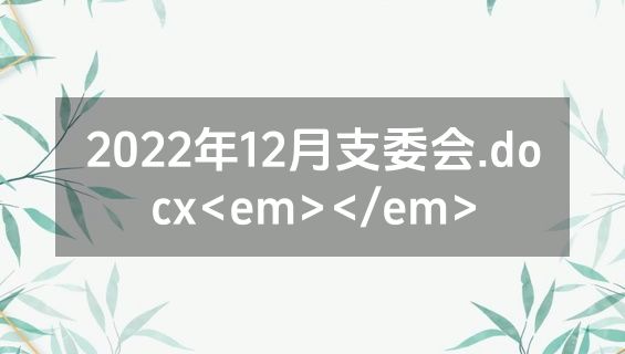 2022年12月支委会.docx<em></em>