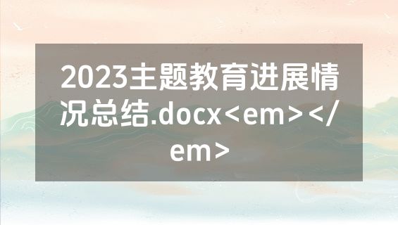 2023主题教育进展情况总结.docx<em></em>