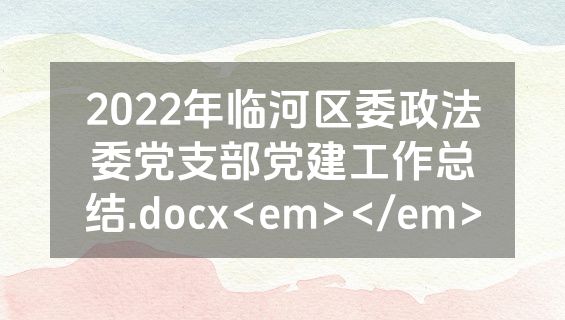 2022年临河区委政法委党支部党建工作总结.docx<em></em>
