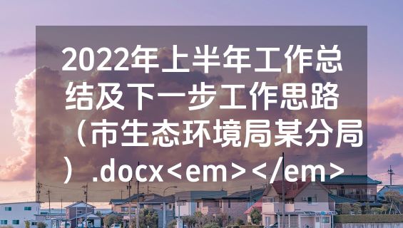 2022年上半年工作总结及下一步工作思路（市生态环境局某分局）.docx<em></em>