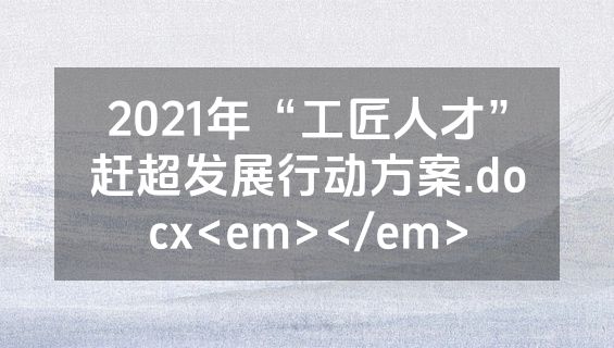 2021年“工匠人才”赶超发展行动方案.docx<em></em>