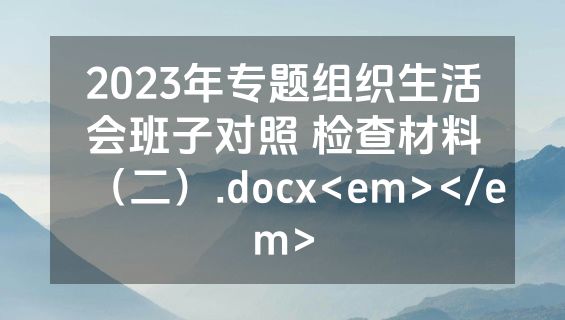 2023年专题组织生活会班子对照 检查材料（二）.docx<em></em>