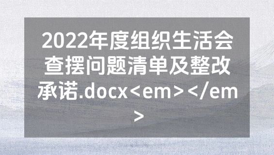 2022年度组织生活会查摆问题清单及整改承诺.docx<em></em>