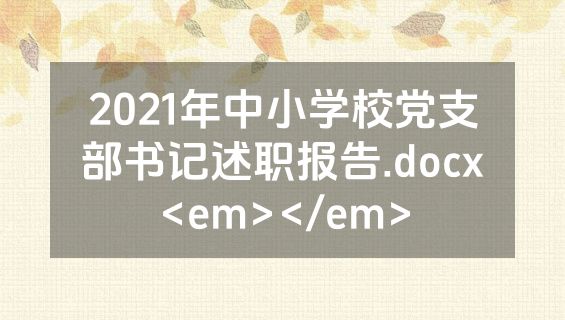 2021年中小学校党支部书记述职报告.docx<em></em>