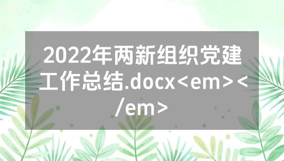 2022年两新组织党建工作总结.docx<em></em>