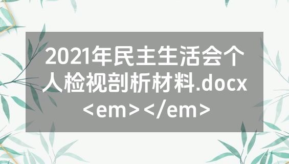 2021年民主生活会个人检视剖析材料.docx<em></em>