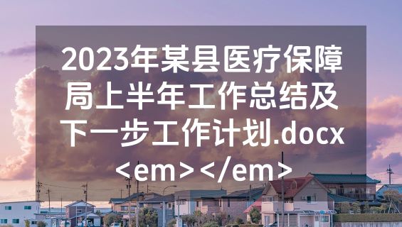2023年某县医疗保障局上半年工作总结及下一步工作计划.docx<em></em>