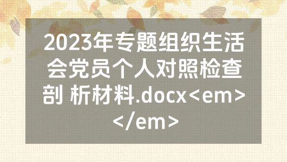 2023年专题组织生活会党员个人对照检查剖 析材料.docx<em></em>