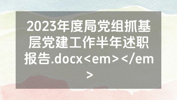 2023年度局党组抓基层党建工作半年述职报告.docx<em></em>