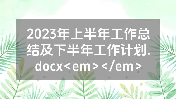 2023年上半年工作总结及下半年工作计划.docx<em></em>