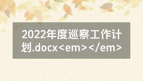2022年度巡察工作计划.docx<em></em>