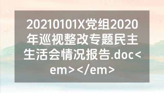 20210101X党组2020年巡视整改专题民主生活会情况报告.doc<em></em>