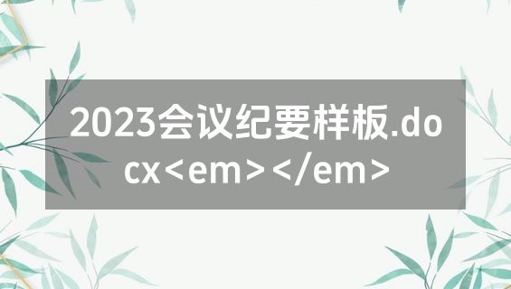 2023会议纪要样板.docx<em></em>