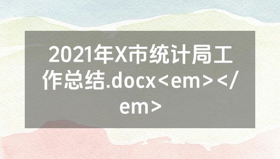 2021年X市统计局工作总结.docx<em></em>