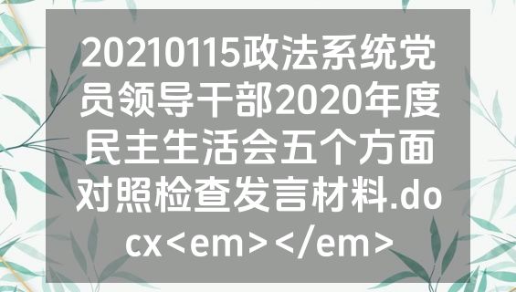 20210115政法系统党员领导干部2020年度民主生活会五个方面对照检查发言材料.docx<em></em>