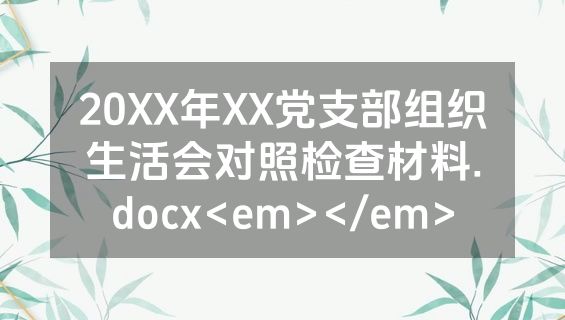 20XX年XX党支部组织生活会对照检查材料.docx<em></em>
