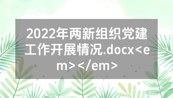 2022年两新组织党建工作开展情况.docx<em></em>