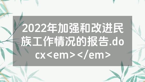 2022年加强和改进民族工作情况的报告.docx<em></em>