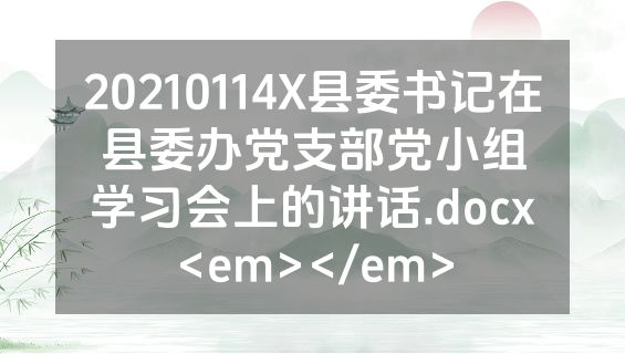 20210114X县委书记在县委办党支部党小组学习会上的讲话.docx<em></em>