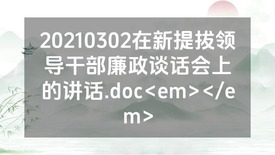 20210302在新提拔领导干部廉政谈话会上的讲话.doc<em></em>