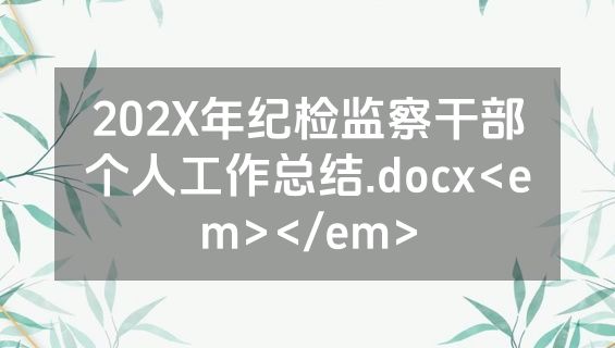 202X年纪检监察干部个人工作总结.docx<em></em>