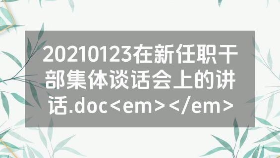 20210123在新任职干部集体谈话会上的讲话.doc<em></em>