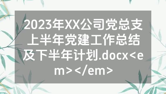 2023年XX公司党总支上半年党建工作总结及下半年计划.docx<em></em>