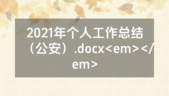 2021年个人工作总结（公安）.docx<em></em>