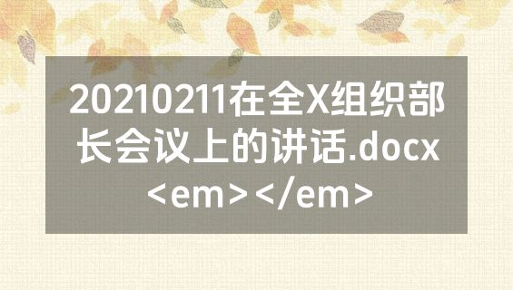 20210211在全X组织部长会议上的讲话.docx<em></em>