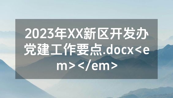 2023年XX新区开发办党建工作要点.docx<em></em>