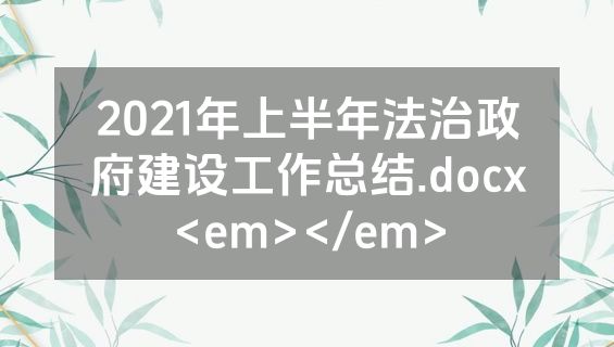 2021年上半年法治政府建设工作总结.docx<em></em>