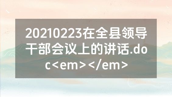 20210223在全县领导干部会议上的讲话.doc<em></em>