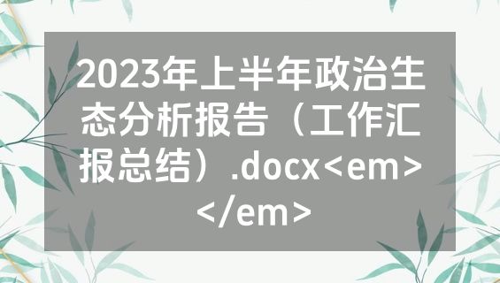 2023年上半年政治生态分析报告（工作汇报总结）.docx<em></em>