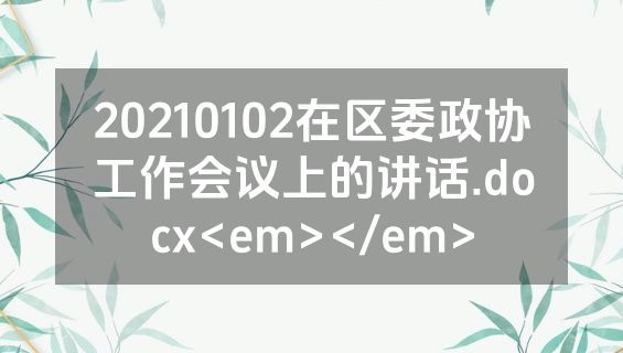 20210102在区委政协工作会议上的讲话.docx<em></em>