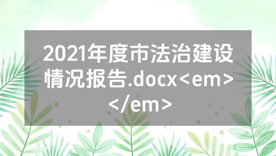 2021年度市法治建设情况报告.docx<em></em>