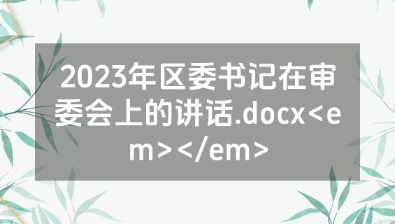 2023年区委书记在审委会上的讲话.docx<em></em>