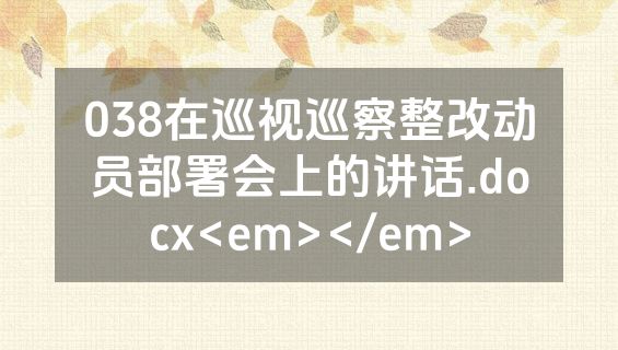 038在巡视巡察整改动员部署会上的讲话.docx<em></em>
