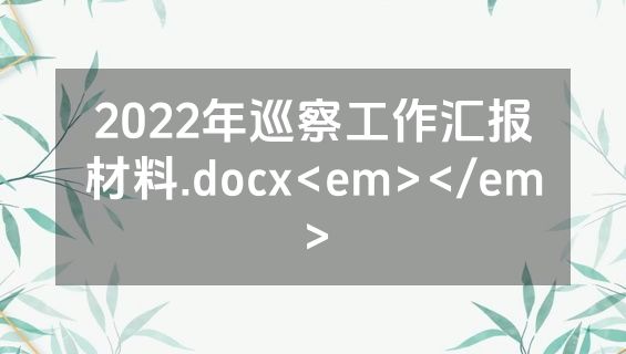 2022年巡察工作汇报材料.docx<em></em>