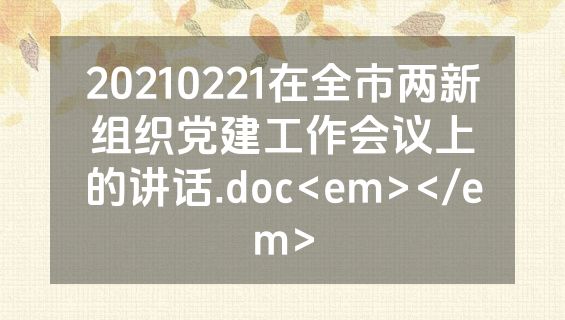 20210221在全市两新组织党建工作会议上的讲话.doc<em></em>