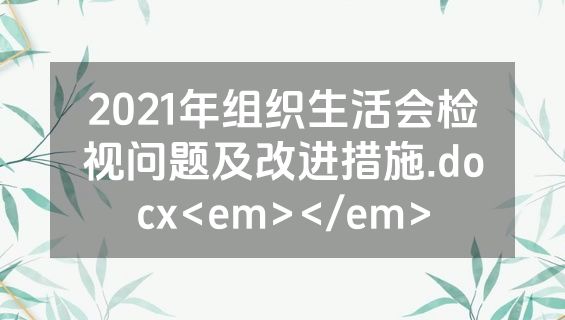 2021年组织生活会检视问题及改进措施.docx<em></em>