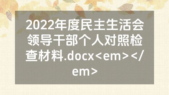 2022年度民主生活会领导干部个人对照检查材料.docx<em></em>