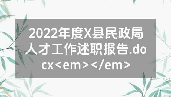 2022年度X县民政局人才工作述职报告.docx<em></em>