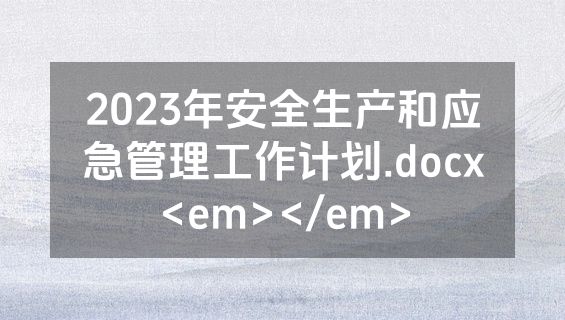 2023年安全生产和应急管理工作计划.docx<em></em>