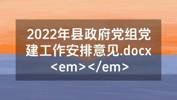 2022年县政府党组党建工作安排意见.docx<em></em>